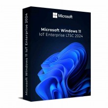 Windows 11 Enterprise IoT LTSC 2024