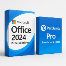Pack Office 2024 Professional Plus + Perplexity Pro