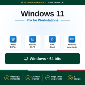 Windows 11 Pro for Workstation