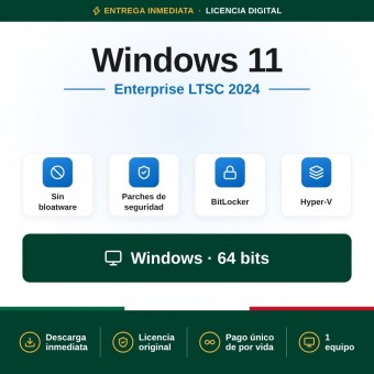 Windows 11 Enterprise LTSC 2024