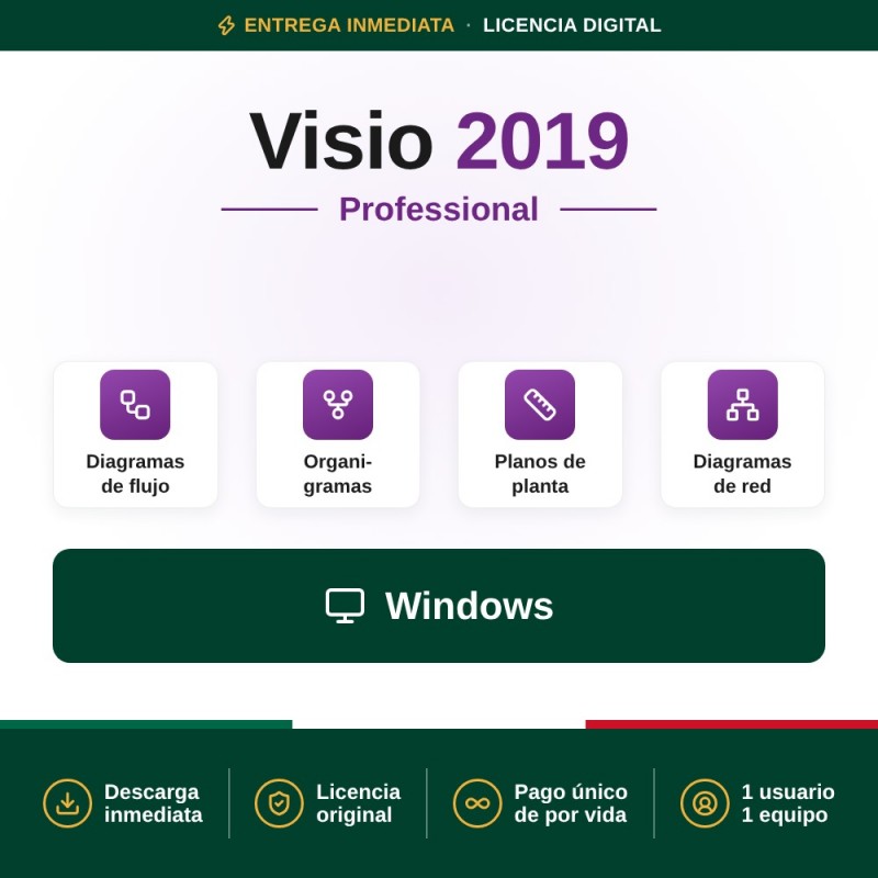 Visio Professional 2019 para 1 PC