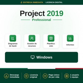 Project Professional 2019 para 1 PC
