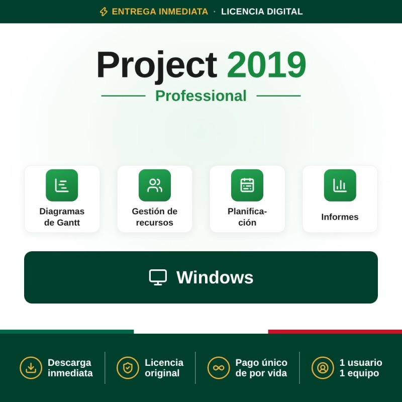 Project Professional 2019 para 1 PC