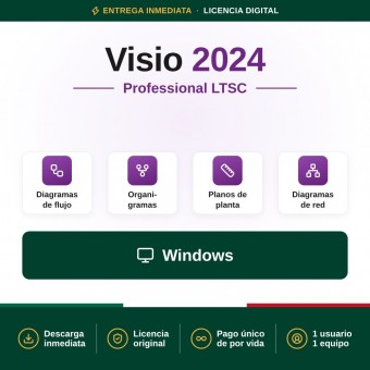 Visio Professional 2024 LTSC para 1 PC
