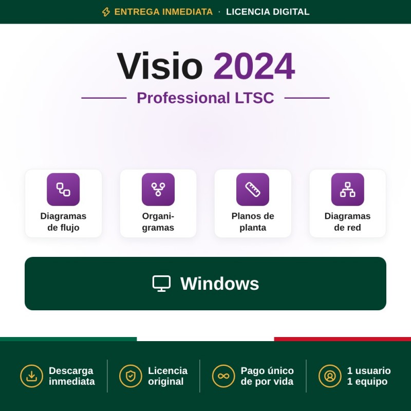 Visio Professional 2024 LTSC para 1 PC