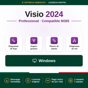 Visio Professional 2024 (compatible con Office 365)