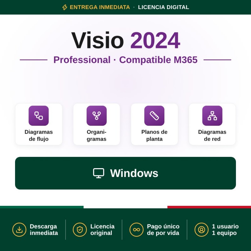 Visio Professional 2024 (compatible con Office 365)