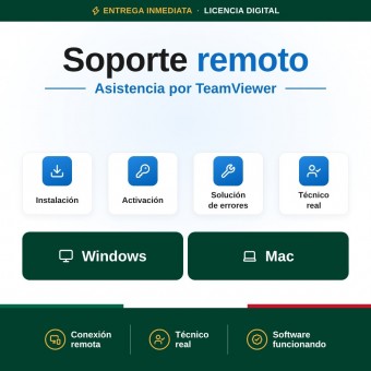 Soporte Remoto vía Teamviewer